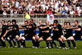 WWW.REGARDS DU SPORT-VANDYSTADT.COM Photos hakade nouvelle zélande all black rugby