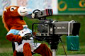 WWW.REGARDS DU SPORT-VANDYSTADT.COM Photos camera cameraman match rugby