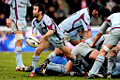 WWW.REGARDS DU SPORT-VANDYSTADT.COM Photos rugby Top 14 Bourgoin CSBJ